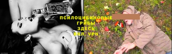 винт Новозыбков