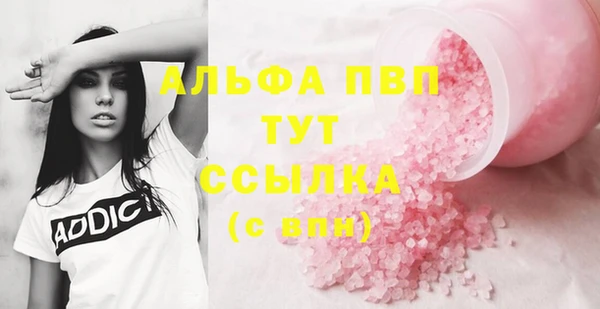 эйфоретик Надым