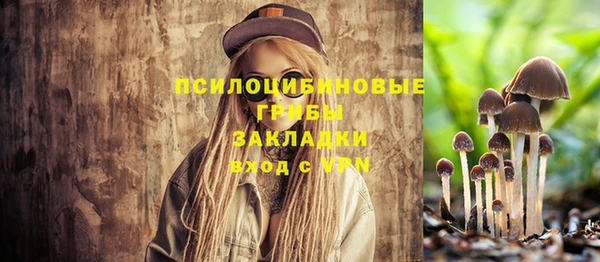 мдма Новодвинск