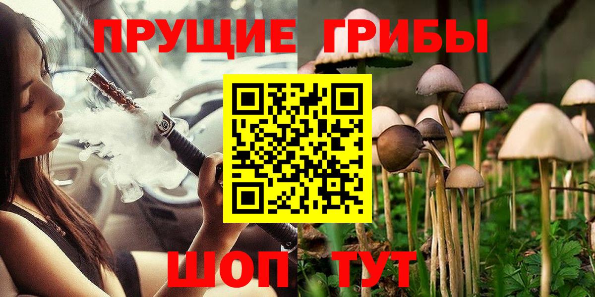 Галлюциногенные грибы Magic Shrooms  Вход с VPN  Галлюциногенные грибы мицелий  Камышин 