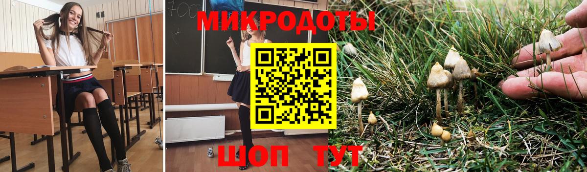 Галлюциногенные грибы MAGIC MUSHROOMS  Камышин  Галлюциногенные грибы MAGIC MUSHROOMS 