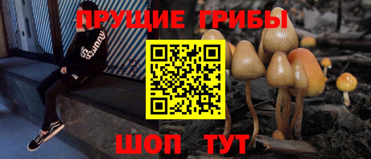Камышин  Вход с VPN  Гашиш  LSD-25  МАРИХУАНА  МЕТАМФЕТАМИН  МЕФ   ГАШИШ  Меф 