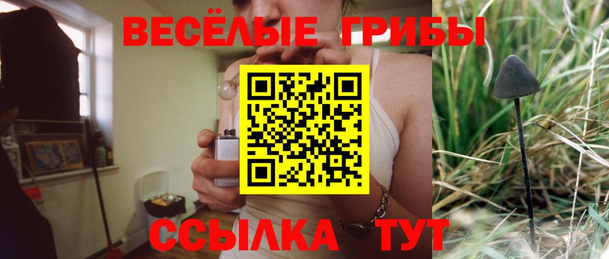 Псилоцибиновые грибы прущие грибы Камышин